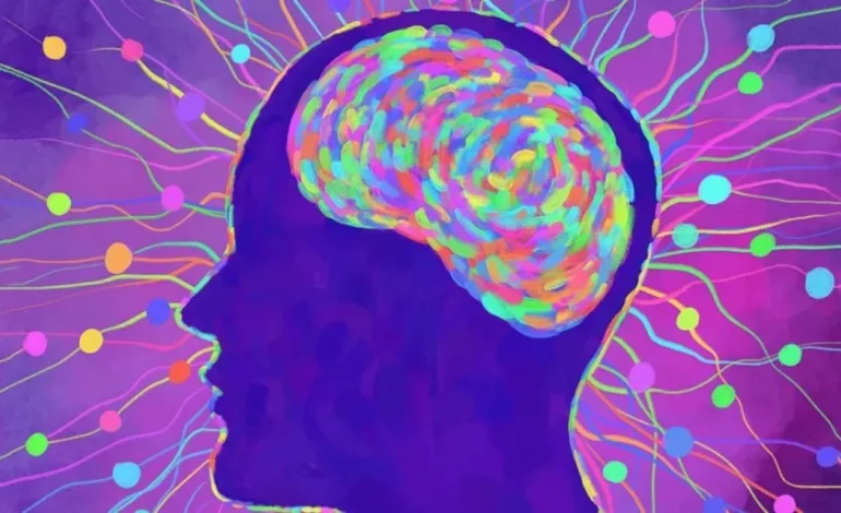 Humans may have 33 senses, not 5