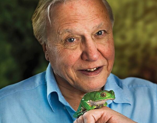 David Attenborough, ‘the voice for nature,’ turns 100